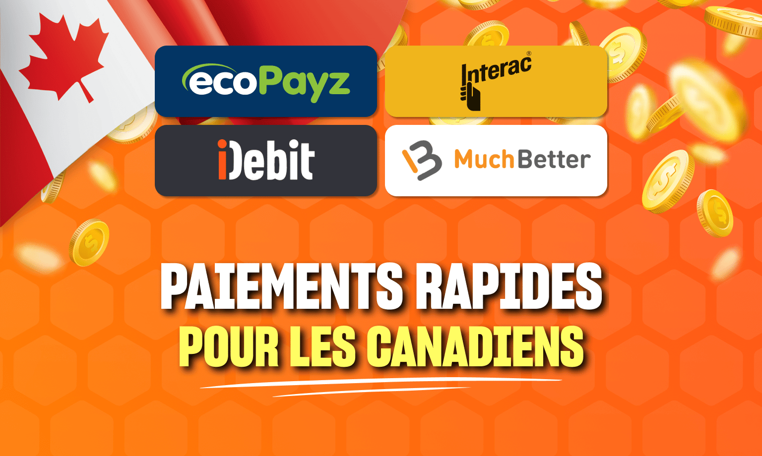 Leovegas paiements logo