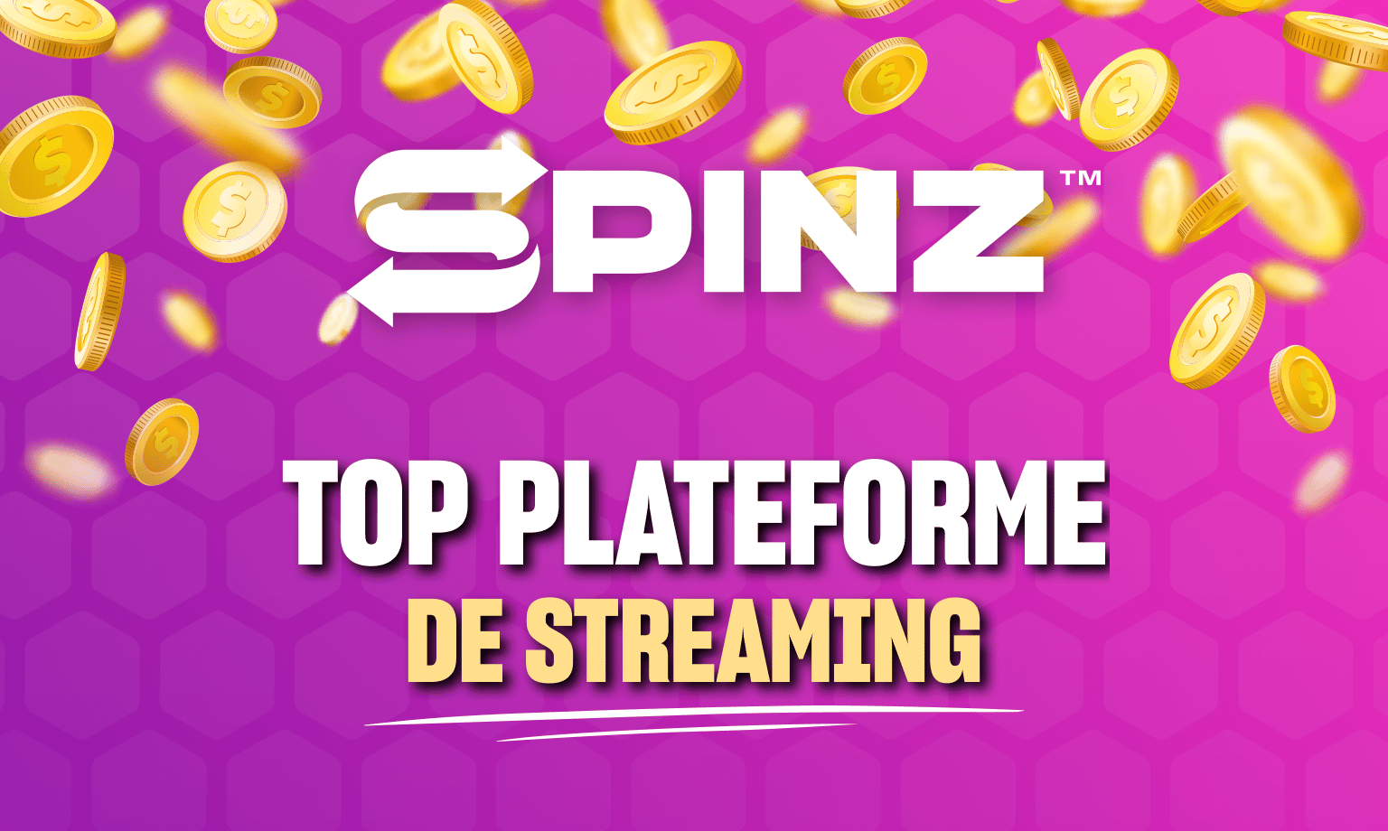 Logo Spinz
