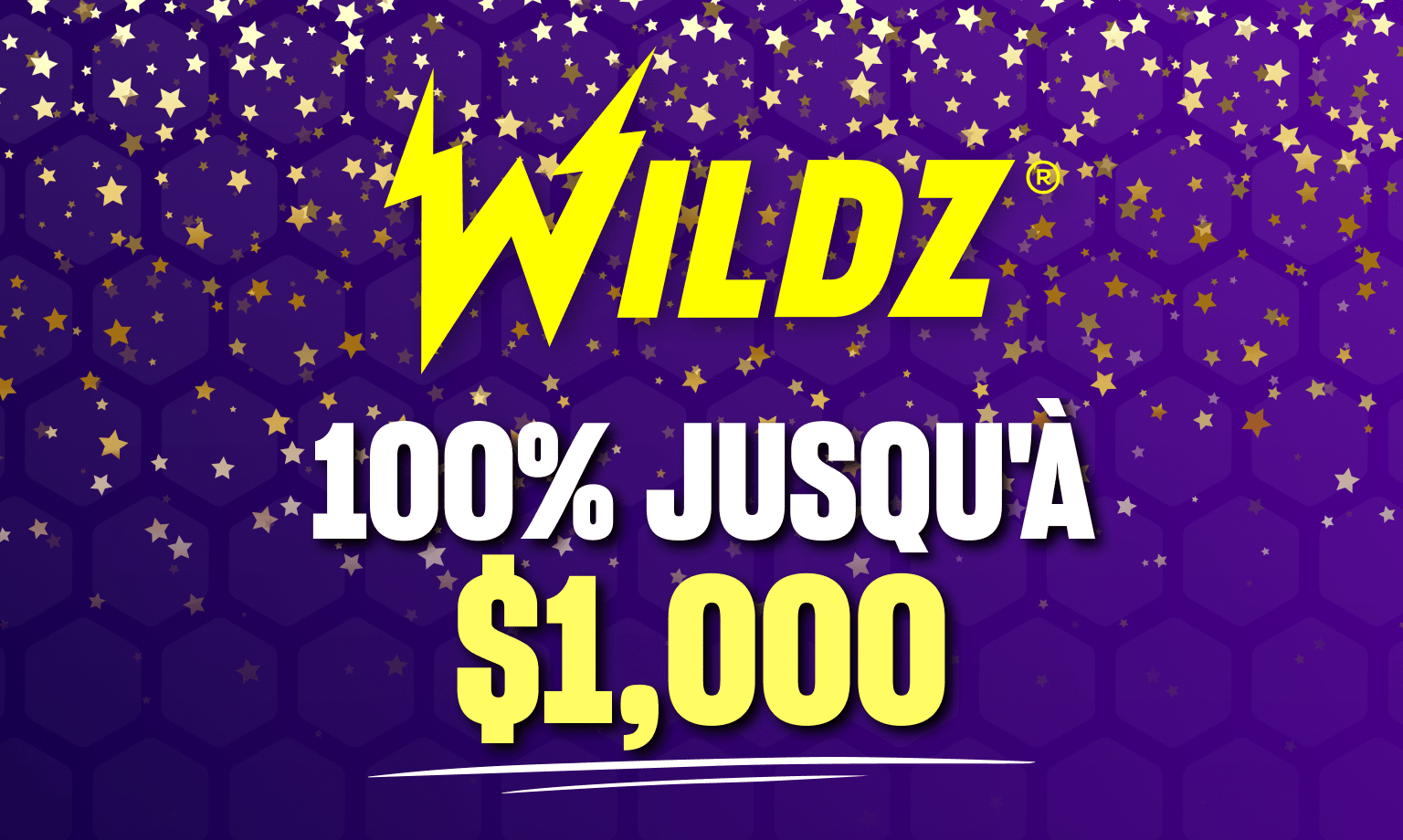 Logo Wildz casino