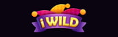 iWild Casino