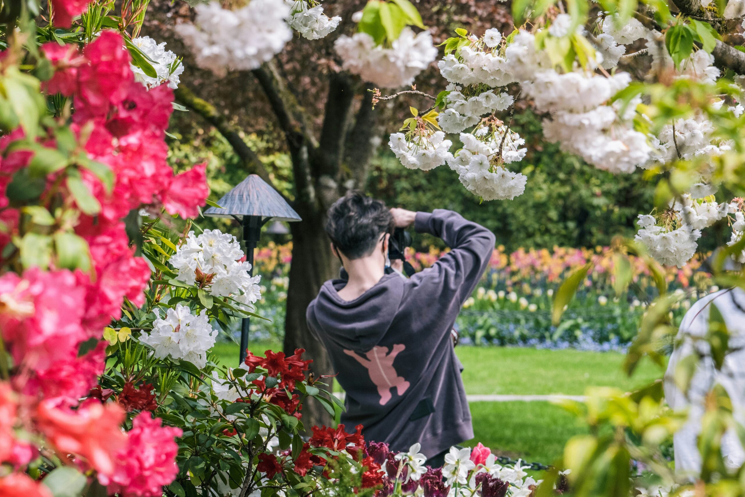 The legendary Butchart Gardens topped the list as the most beautiful garden in Canada. Image by John Xiao, Unsplash.
