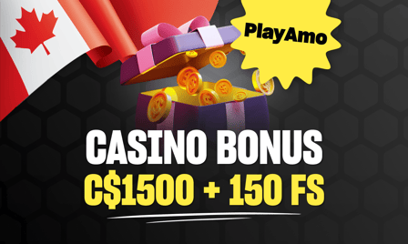 playamo casino