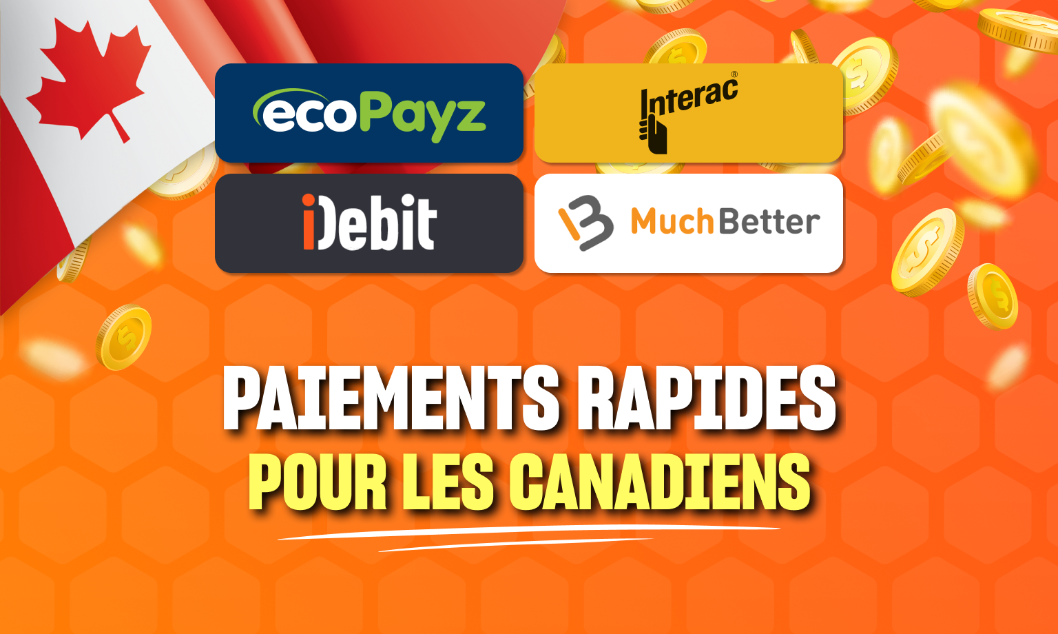 Leovegas paiements logo